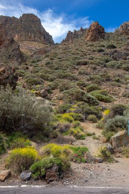 Milli park del Teide, sihirli park görünümünü