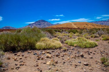Milli park del Teide, sihirli park görünümünü