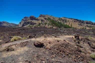Milli park del Teide, sihirli park görünümünü