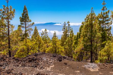 La Gomera Island Santa Cruz de Tenerife görünümden. Güzel doğa renk kontrast.