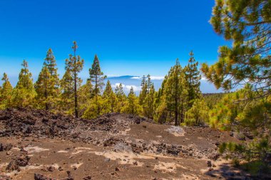 La Gomera Island Santa Cruz de Tenerife görünümden. Güzel doğa renk kontrast.