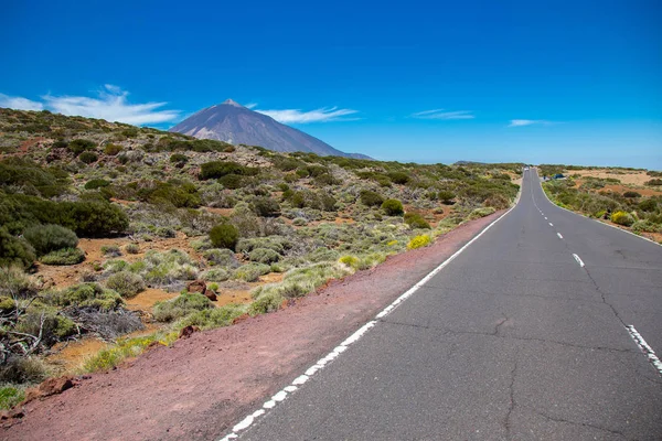 Vue Magnifique Volcan Teide — Photo