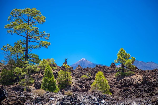Vista Belo Vulcão Teide — Fotografia de Stock