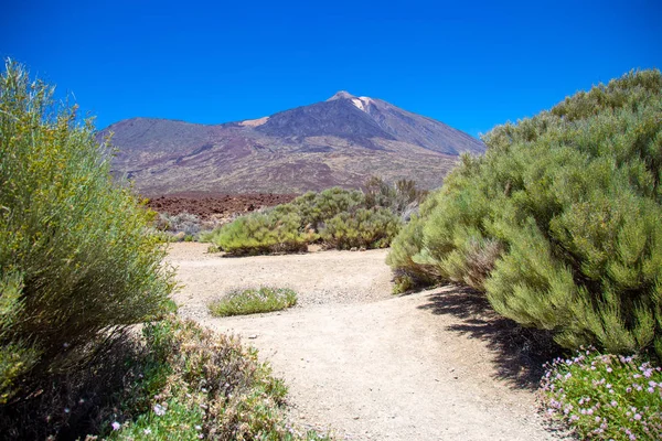 Vista Belo Vulcão Teide — Fotografia de Stock