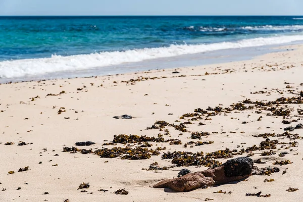 Festői kilátással a homokos strand és a tenger kék ég ellen — Stock Fotó