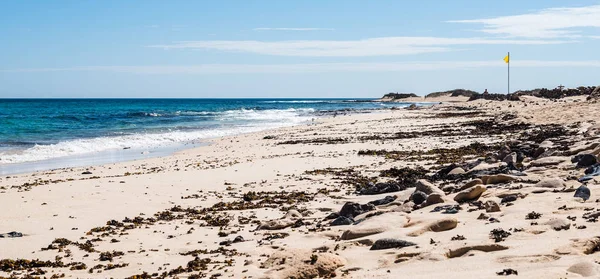 Vista panorâmica da praia de areia e do mar contra o céu azul — Fotografia de Stock