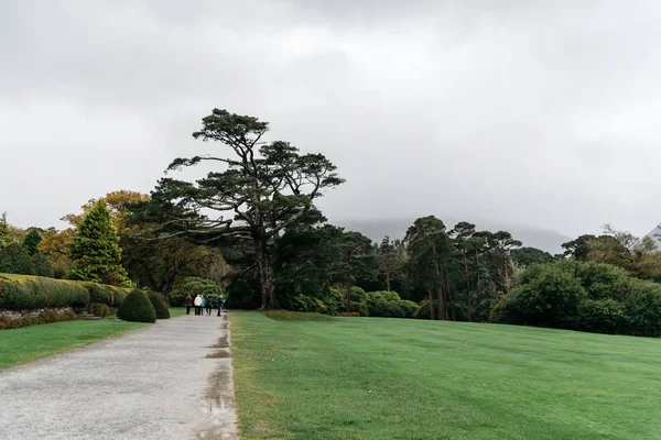 Jardins de Muckross House na Irlanda — Fotografia de Stock