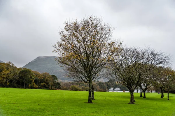 Jardins de Muckross House na Irlanda — Fotografia de Stock