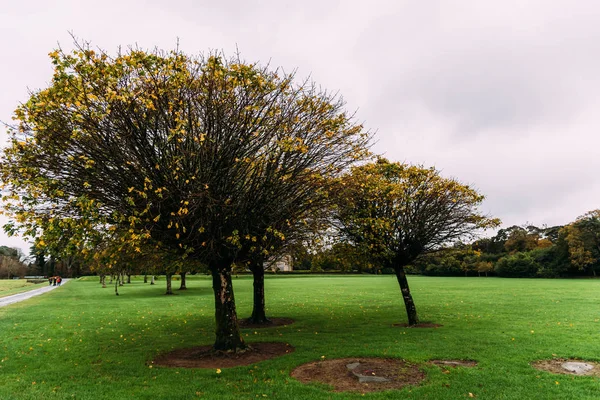 Jardins de Muckross House na Irlanda — Fotografia de Stock