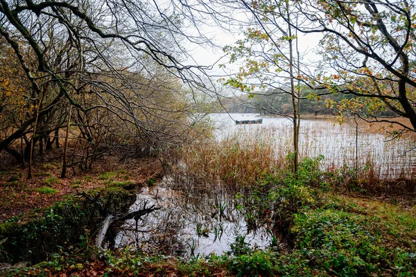 Vista panorámica del lago en Killarney un día brumoso — Foto de Stock