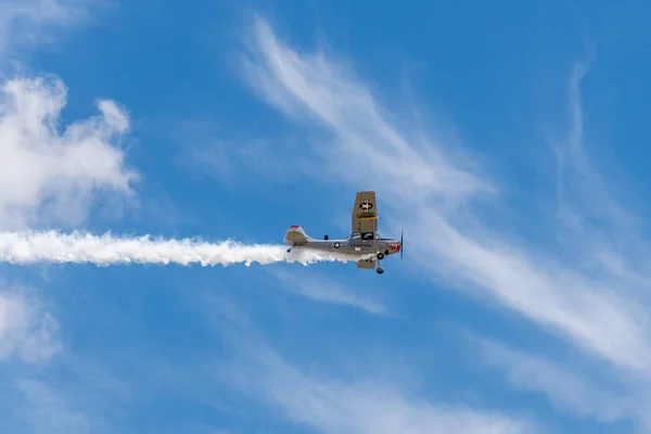Cessna L-19 vogel hond vliegtuigen tijdens lucht weergeven — Stockfoto