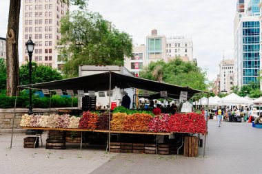 Union Square Greenmarket'yeni taze sebze Pazar ahır