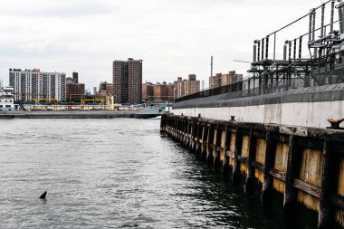 New York Doğu nehrinde kargo gemisi