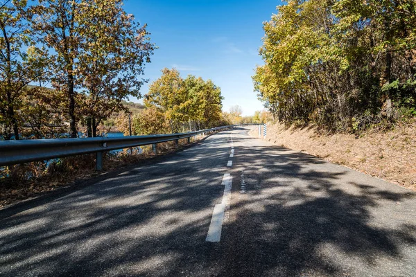 Empty road through Beech forest in Autumn — Stock Photo, Image