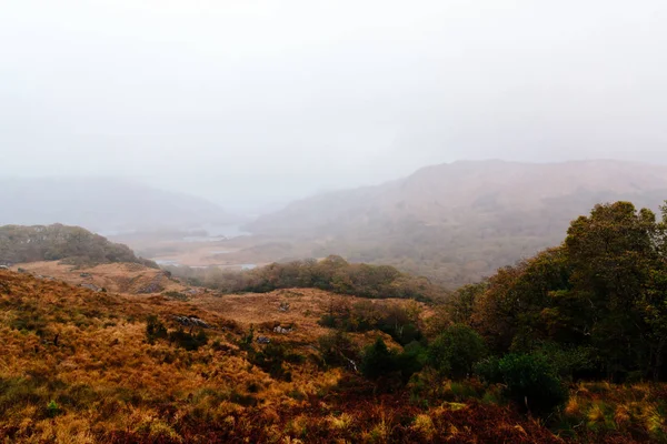 Neblige Landschaft zur Herbstzeit in Irland — Stockfoto