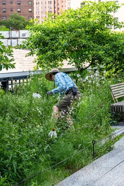 Ehrenamtliche kümmern sich um Garten in Hochseilgarten — Stockfoto