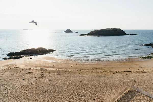 Sirály repül át üres tengerparton Saint Malo — Stock Fotó