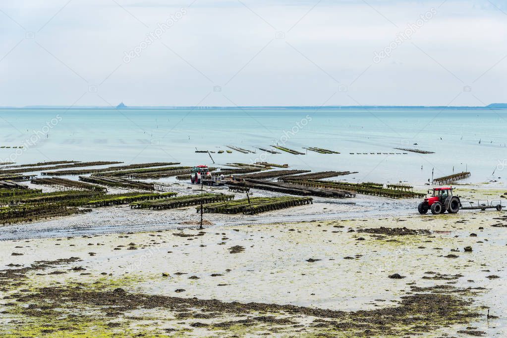 Oyster farms at low tide in Cancale