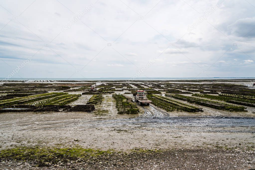 Oyster farms at low tide in Cancale
