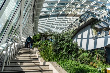 Londra'da gökdelenin tepesinde Sky Garden bakış açısı