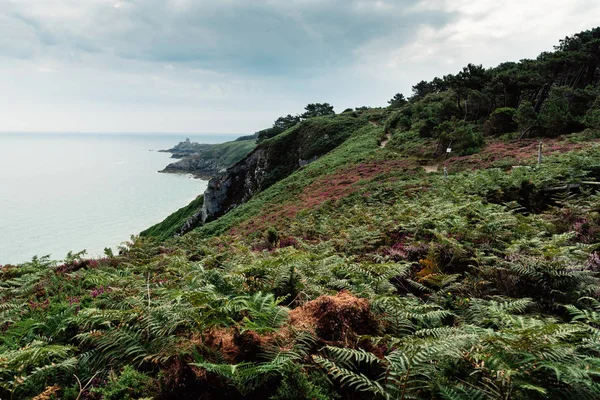 Vista da área de Cap Frehel na Bretanha — Fotografia de Stock