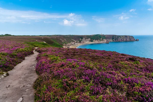 Vista da área de Cap Frehel na Bretanha — Fotografia de Stock