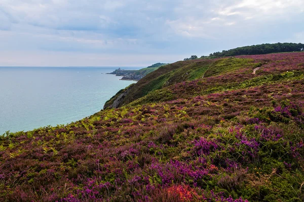 Vista da área de Cap Frehel na Bretanha — Fotografia de Stock