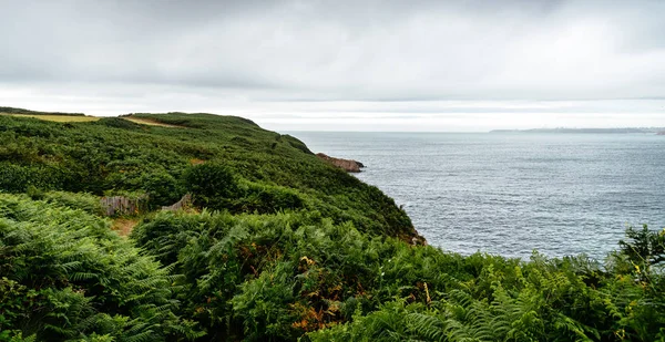 Vista panorâmica da costa com samambaias verdes contra o céu nublado — Fotografia de Stock