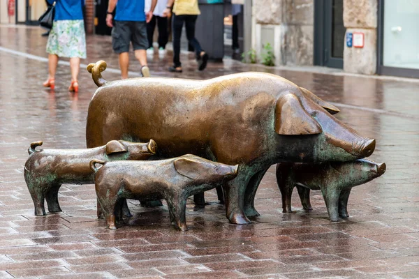 Hirt mit Schweinen or Shepherd with pigs sculpture in centre of Bremen — Stock Photo, Image