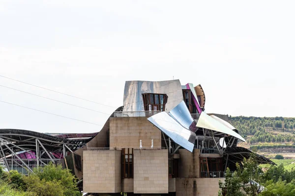 Vingård i Marques de Riscal i Alava — Stockfoto