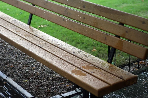 Holzbank Nach Regen Park — Stockfoto