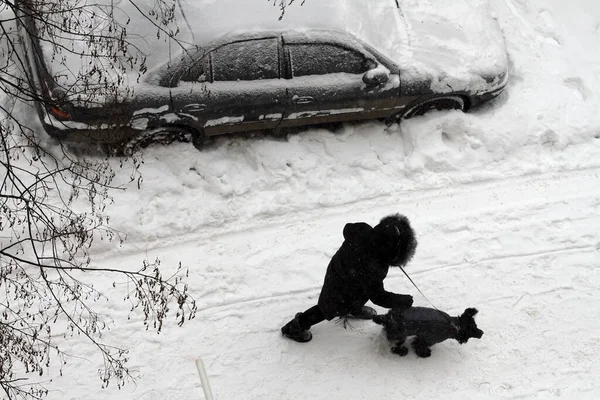 man with dog walking with a strong snow storm