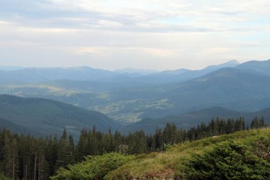 Dağ manzaralı güzel manzara, ön planda yeşil bitkiler.