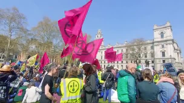 Pink Extinction Opstandelingen Wapperen Lucht Tijdens Protest Tegen Klimaatverandering Parliament — Stockvideo