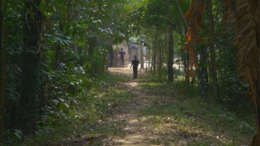 Bangladeş, Sylhet 'teki kırsal bir köyde Ormanda Yürüyen Genç Bengali. Kilitli
