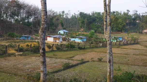 Blick Auf Schuppen Auf Ländlichem Ackerland Sylhet Bangladesch Abgeriegelt — Stockvideo