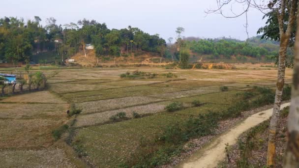 バングラデシュのSylhetで農地のビュー スローパン左 — ストック動画