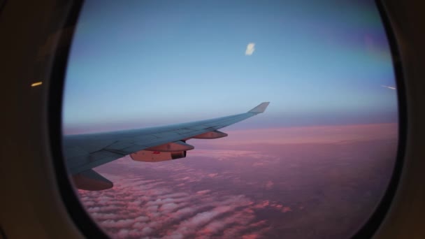 从浅色云彩上方的飞机窗口观看 — 图库视频影像