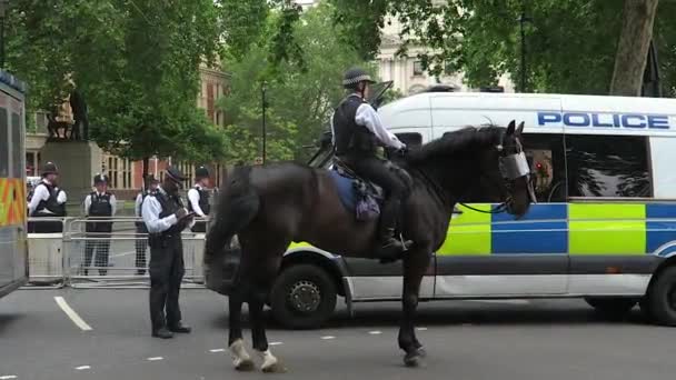 Polisi Inggris Menunggang Kuda Dengan Van Polisi Latar Belakang Selama — Stok Video