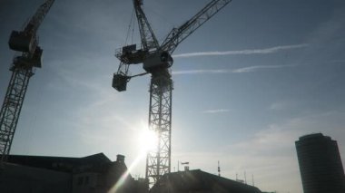 Londra, Westminster 'da yükselen güneşe karşı mavi gökyüzü olan iki turna silueti. Kilitli