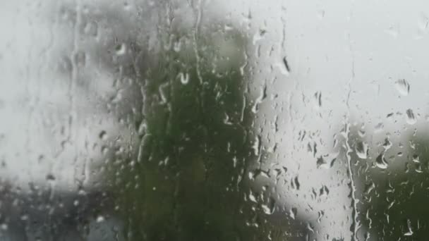 Regen Naar Beneden Vallen Het Venster Met Wazig Winderige Bosjes — Stockvideo