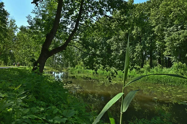 Fluss Batoshevski Garten Der Stadt Tula — Stockfoto