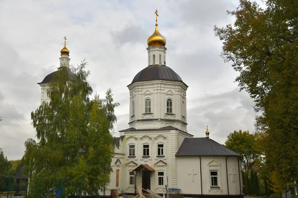 Nativity Theotokos Women Monastery City Tula — Stock Photo, Image