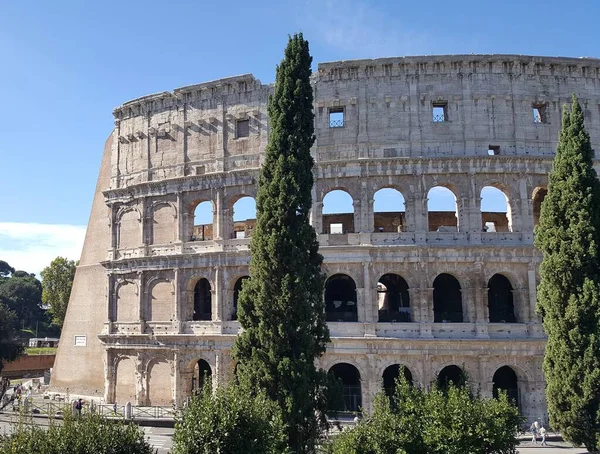 休暇中のローマの青い空の緑の木のコロッセオ — ストック写真