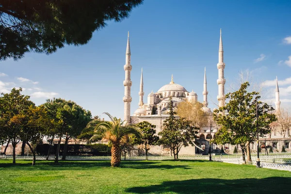 Vedere Frumoasă Moscheea Albastră Sultanahmet Răsărit Faimoasa Moschee Islamică Landmark — Fotografie, imagine de stoc