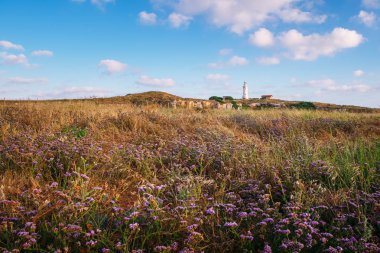 Gün batımında deniz feneri kulesi, Baf, Kıbrıs
