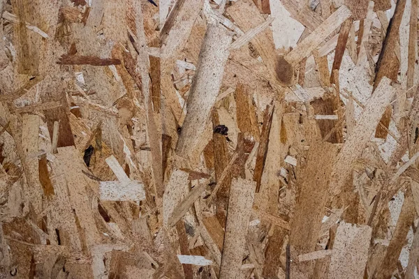 Ibreboard Lub Sklejka Tekstury Abstrakcyjnej Dla Tła Naturalnym Wzorem Drewna — Zdjęcie stockowe