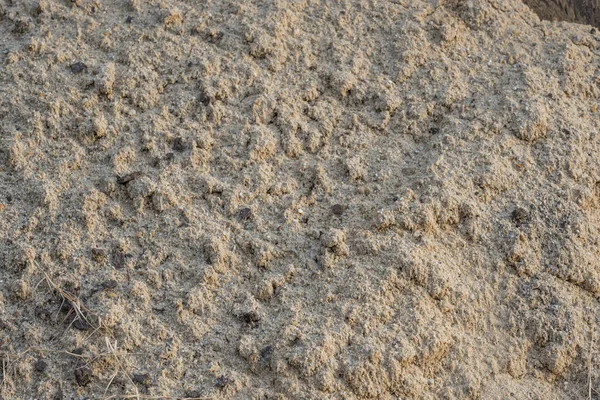 Fine Sand Texture Background Closeup Sand Pattern Summer — Stock Photo, Image