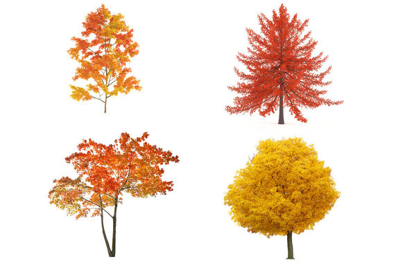 Tree dicut at isolated on white background.