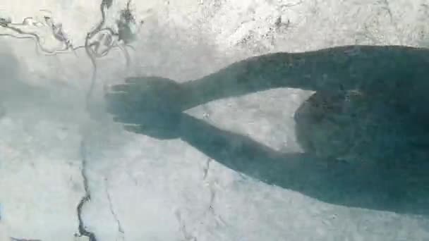 Een man zwemmen tegen een eindeloze stroom in een zwembad onderwater schot — Stockvideo